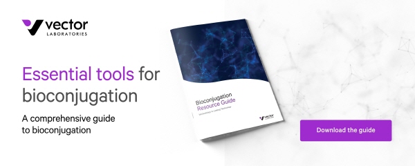 BioCon_Guide.jpg